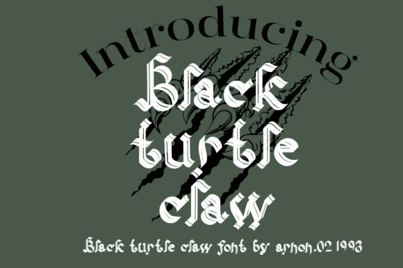 Black Turtle Claw: Bold Typography for High-Impact Design