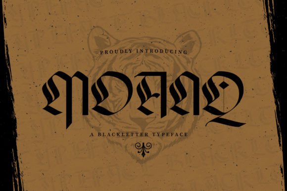 Moanq Typeface Review